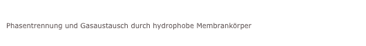 Hydrophobe Membran-Röhren
Phasentrennung und Gasaustausch durch hydrophobe Membrankörper